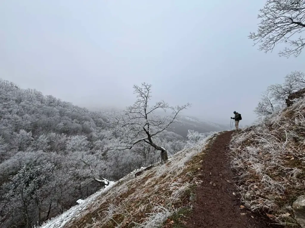 Visegrádi hegység téli túra