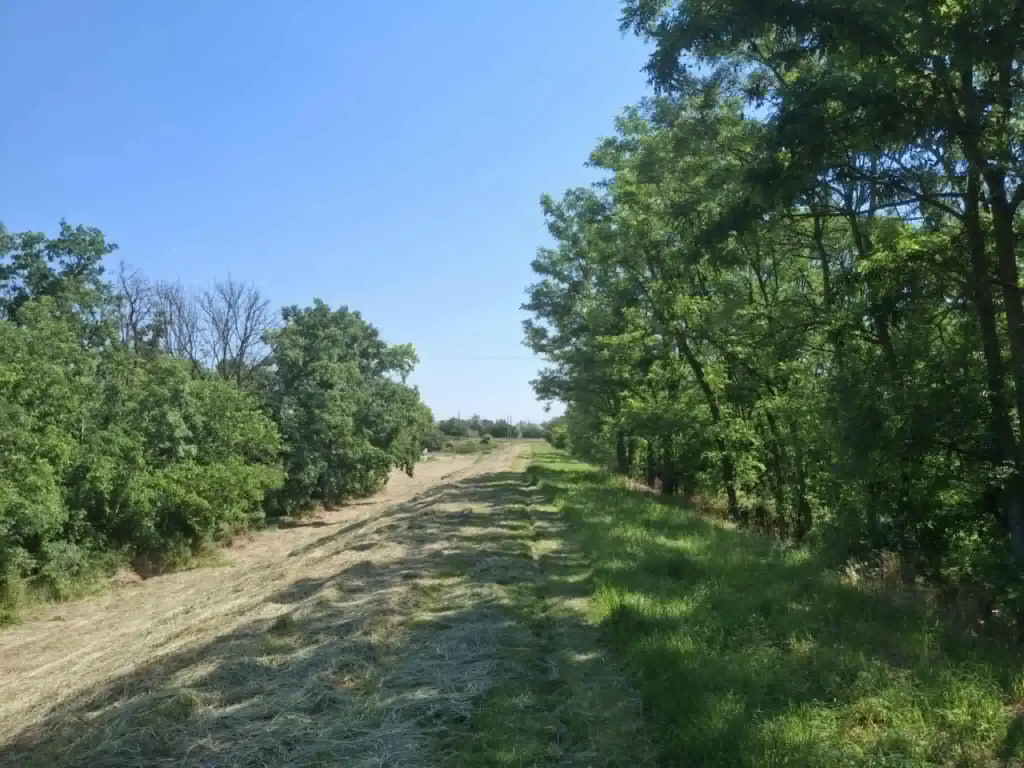 Kecskestelep futas 2