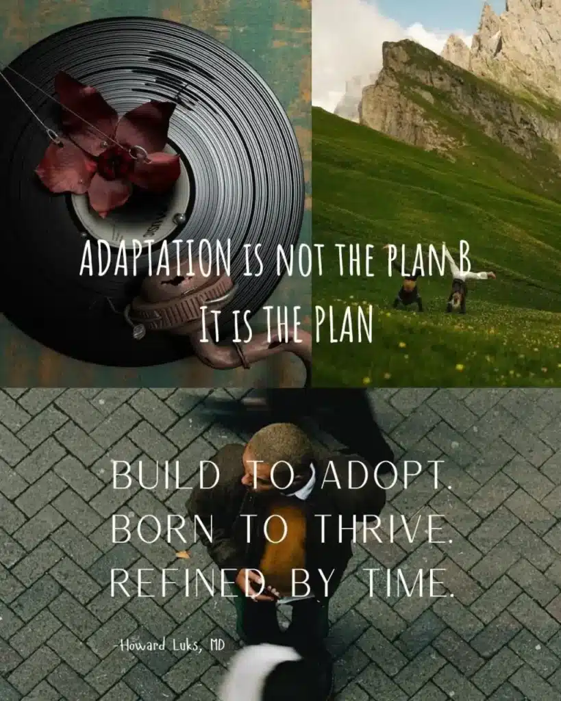 Adaptation