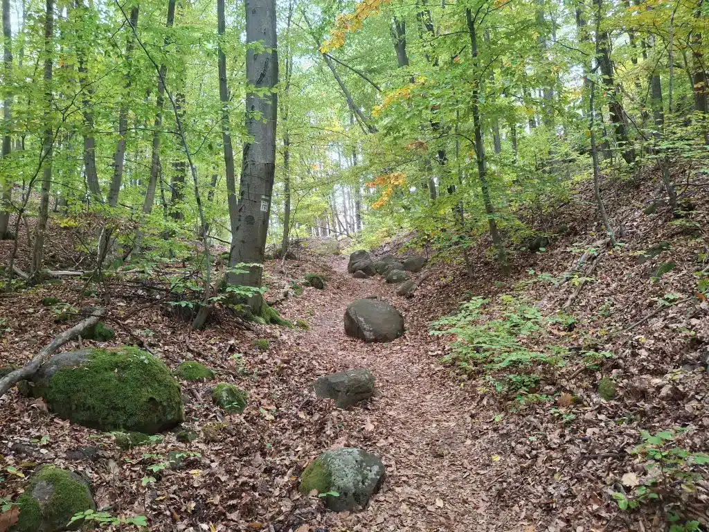 Az út néha göröngyös, néha sziklás
