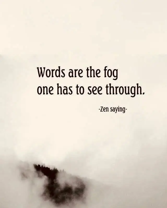 Words are the fog