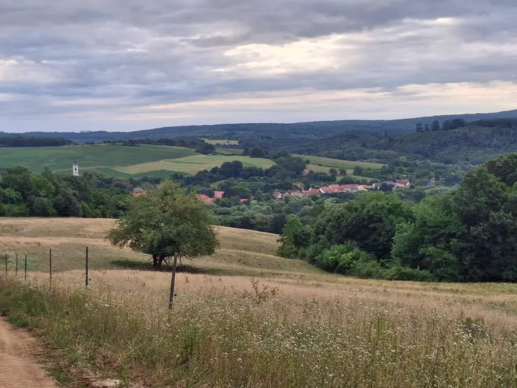 Kilátás a Zselicről