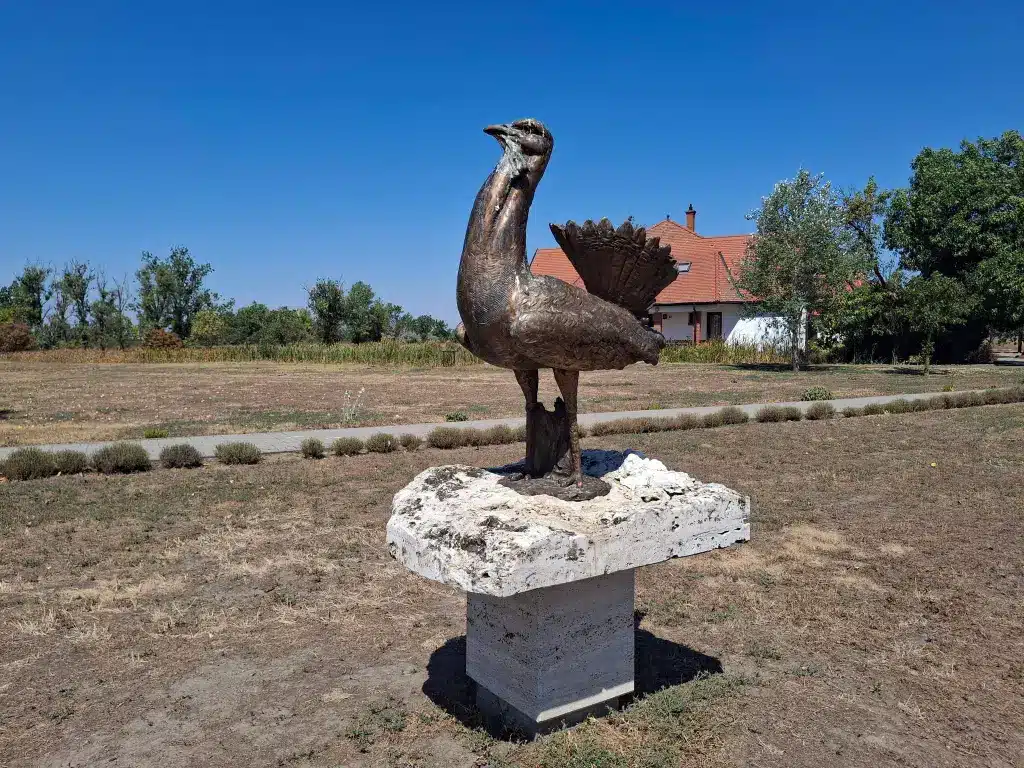 Túzok