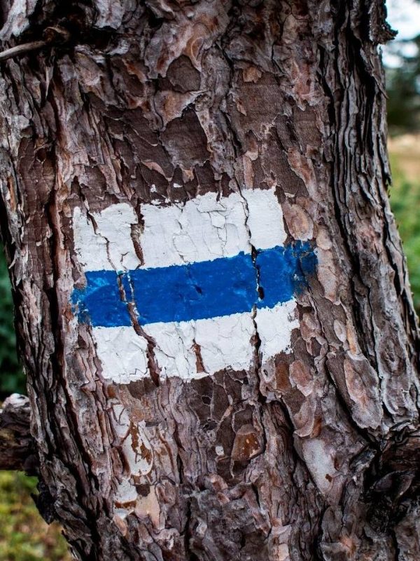 Kéktúra
